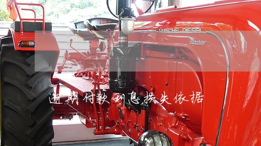 逾期付款利息损失依据 逾期付款利息损失依据