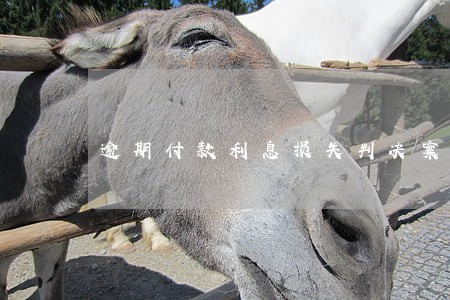 逾期付款利息损失判决案例 逾期付款利息损失判决案例