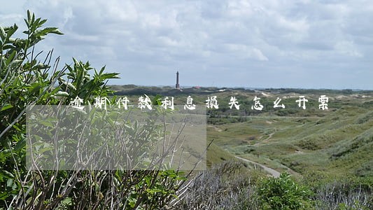 逾期付款利息损失怎么开票 逾期付款利息损失怎么开票