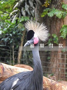 逾期付款利息损失怎么算 逾期付款利息损失怎么算