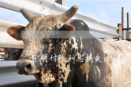 逾期付款利息损失法律依据 逾期付款利息损失法律依据