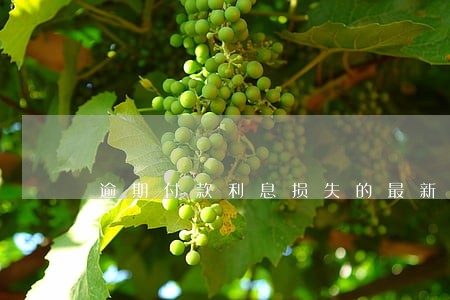 逾期付款利息损失的最新规定 逾期付款利息损失的最新规定
