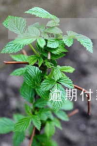 逾期付款利息损失计算标准 逾期付款利息损失计算标准