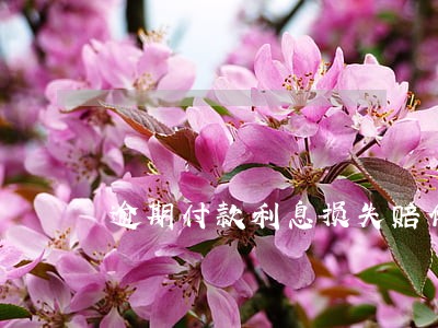 逾期付款利息损失赔偿 逾期付款利息损失赔偿