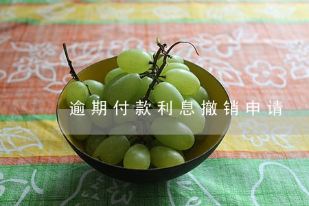 逾期付款利息撤销申请 逾期付款利息撤销申请