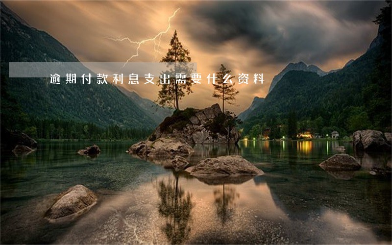 逾期付款利息支出需要什么资料 逾期付款利息支出需要什么资料
