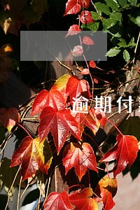 逾期付款利息新规定 逾期付款利息新规定