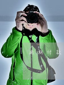 逾期付款利息无约定 逾期付款利息无约定