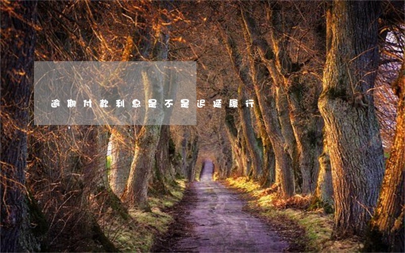 逾期付款利息是不是迟延履行 逾期付款利息是不是迟延履行