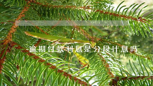 逾期付款利息是分段计息吗