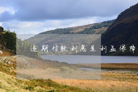 逾期付款利息是利益保障吗 逾期付款利息是利益保障吗