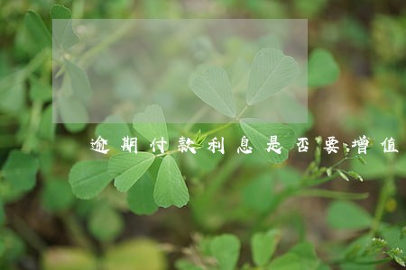 逾期付款利息是否要增值税 逾期付款利息是否要增值税
