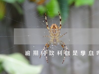逾期付款利息是孳息吗 逾期付款利息是孳息吗