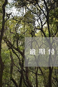 逾期付款利息是按照哪个利率计算 逾期付款利息是按照哪个利率计算