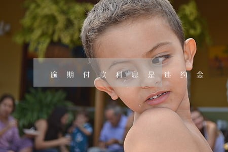 逾期付款利息是违约金 逾期付款利息是违约金