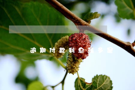 逾期付款利息最多是 逾期付款利息最多是