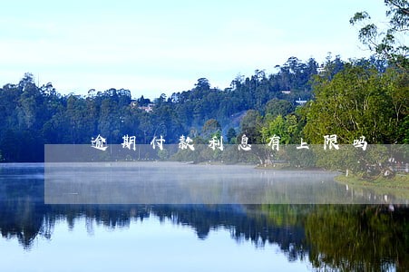 逾期付款利息有上限吗 逾期付款利息有上限吗