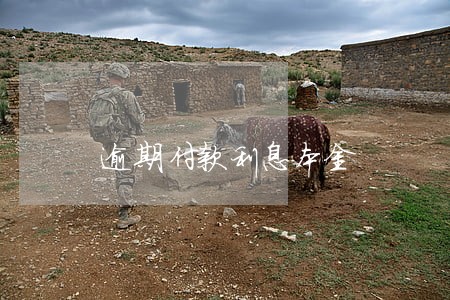 逾期付款利息本金 逾期付款利息本金
