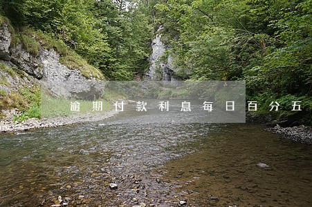 逾期付款利息每日百分五 逾期付款利息每日百分五