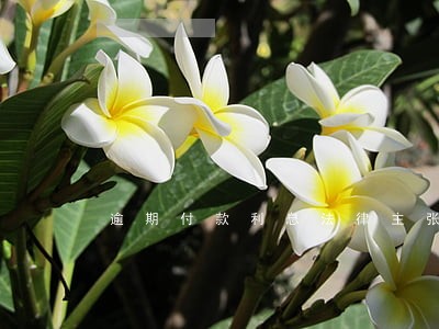逾期付款利息法律主张 逾期付款利息法律主张