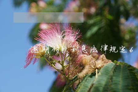 逾期付款利息法律规定6 逾期付款利息法律规定6