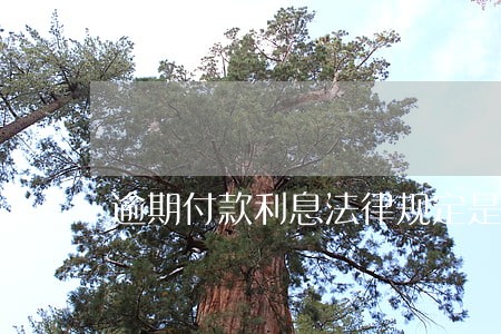 逾期付款利息法律规定是多少 逾期付款利息法律规定是多少