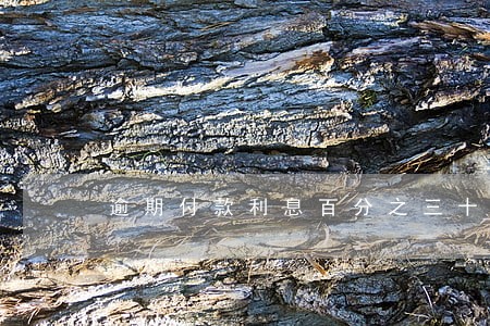 逾期付款利息百分之三十 逾期付款利息百分之三十
