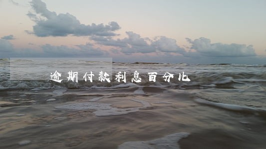 逾期付款利息百分比 逾期付款利息百分比