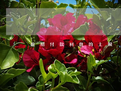 逾期付款利息的上限 逾期付款利息的上限