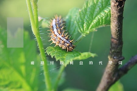 逾期付款利息的代理词 逾期付款利息的代理词