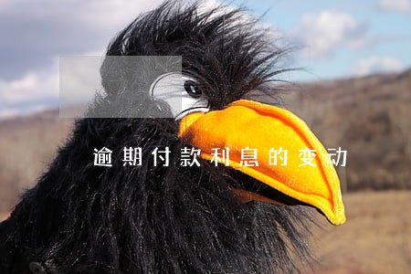 逾期付款利息的变动 逾期付款利息的变动