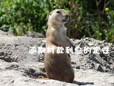 逾期付款利息的定性 逾期付款利息的定性