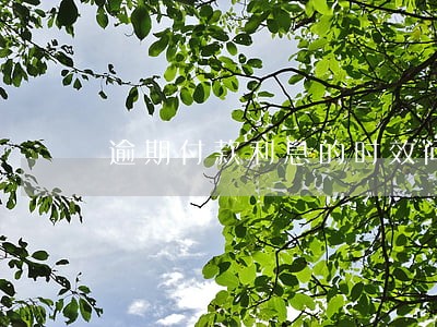 逾期付款利息的时效问题 逾期付款利息的时效问题