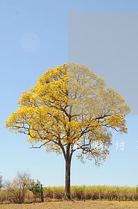 逾期付款利息的最新规定 逾期付款利息的最新规定