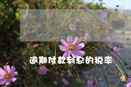 逾期付款利息的税率 逾期付款利息的税率
