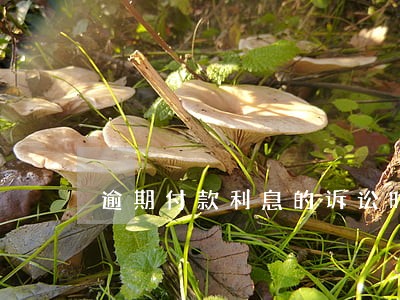 逾期付款利息的诉讼时效 逾期付款利息的诉讼时效