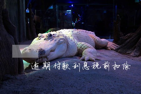 逾期付款利息税前扣除 逾期付款利息税前扣除