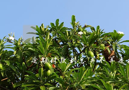 逾期付款利息算不算违约责任