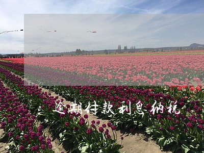 逾期付款利息纳税 逾期付款利息纳税