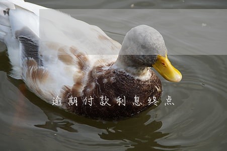 逾期付款利息终点 逾期付款利息终点