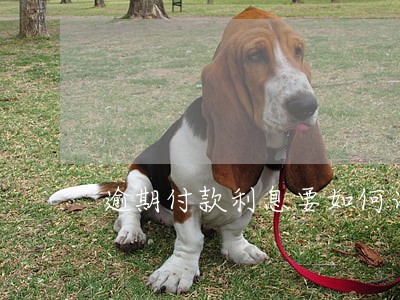 逾期付款利息要如何计算 逾期付款利息要如何计算