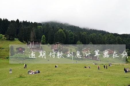 逾期付款利息计算器在线计算