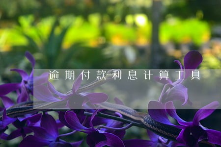 逾期付款利息计算工具 逾期付款利息计算工具