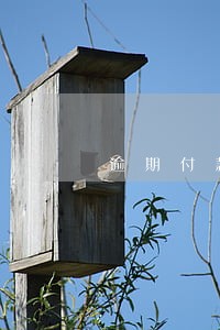 逾期付款利息计算期间 逾期付款利息计算期间