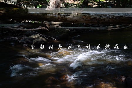 逾期付款利息计算标准的法律规定 逾期付款利息计算标准的法律规定