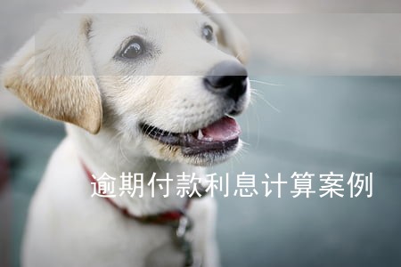 逾期付款利息计算案例 逾期付款利息计算案例