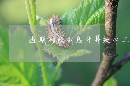 逾期付款利息计算软件工具 逾期付款利息计算软件工具