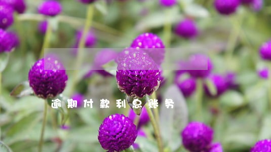 逾期付款利息账务