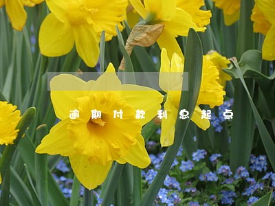 逾期付款利息起点 逾期付款利息起点