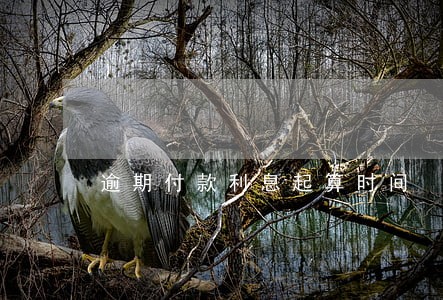 逾期付款利息起算时间 逾期付款利息起算时间